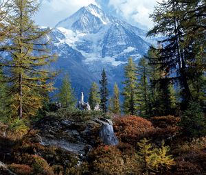 Preview wallpaper trees, wood, mountains, top, bichhorn, switzerland