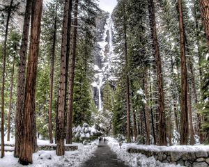 Preview wallpaper trees, wood, rocks, falls, snow