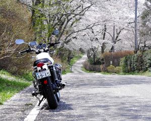 Preview wallpaper triumph bonneville t100, triumph, motorcycle, bike, back view