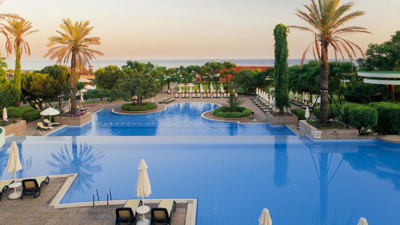 Wallpaper tropical, resort, palm trees, swimming pool