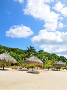 Preview wallpaper tropics, beach, palm trees, sand