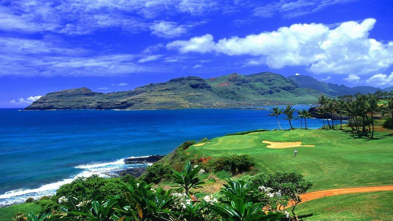 Wallpaper tropics, beach, palm trees, grass