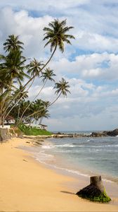 Preview wallpaper tropics, sea, beach, palm trees, nature