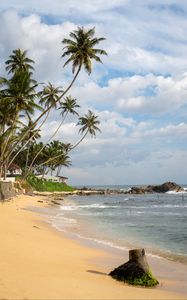 Preview wallpaper tropics, sea, beach, palm trees, nature