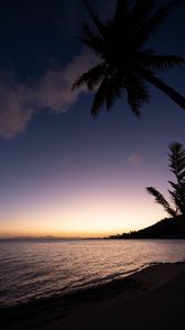 Preview wallpaper tropics, sea, palm trees, evening, shore