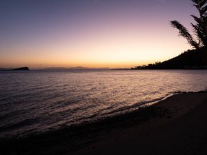 Preview wallpaper tropics, sea, palm trees, evening, shore