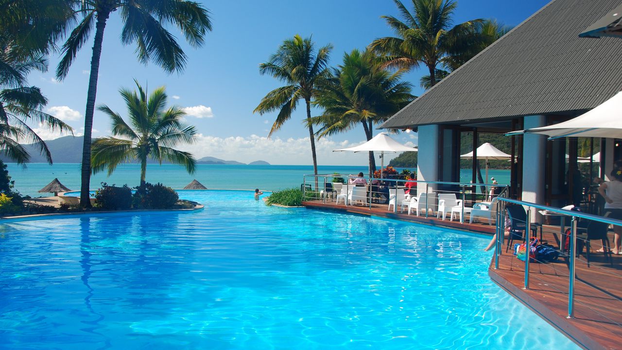 Wallpaper tropics, sea, palm trees, swimming pool