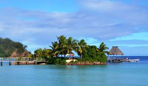 Preview wallpaper tropics, sea, palm trees, summer