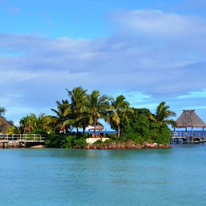 Preview wallpaper tropics, sea, palm trees, summer