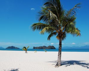 Preview wallpaper tropics, sea, sand, palm trees, summer