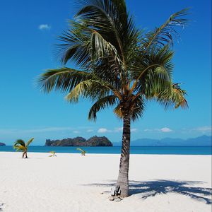 Preview wallpaper tropics, sea, sand, palm trees, summer