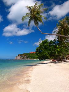 Preview wallpaper tropics, sea, sand, palm trees