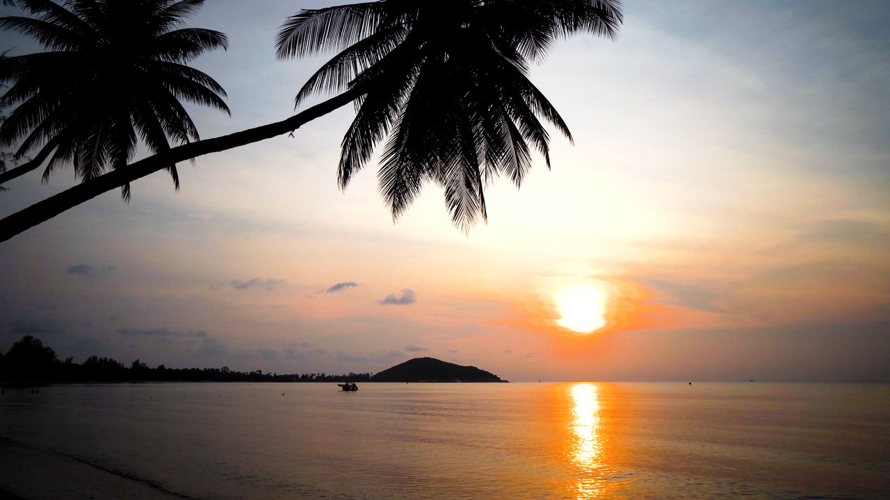 Wallpaper tropics, sunset, reflection, sea, palm trees, nature