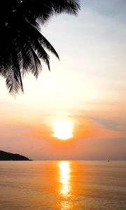 Preview wallpaper tropics, sunset, reflection, sea, palm trees, nature