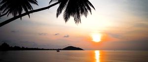 Preview wallpaper tropics, sunset, reflection, sea, palm trees, nature