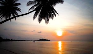 Preview wallpaper tropics, sunset, reflection, sea, palm trees, nature