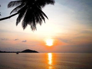 Preview wallpaper tropics, sunset, reflection, sea, palm trees, nature