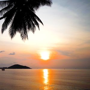 Preview wallpaper tropics, sunset, reflection, sea, palm trees, nature