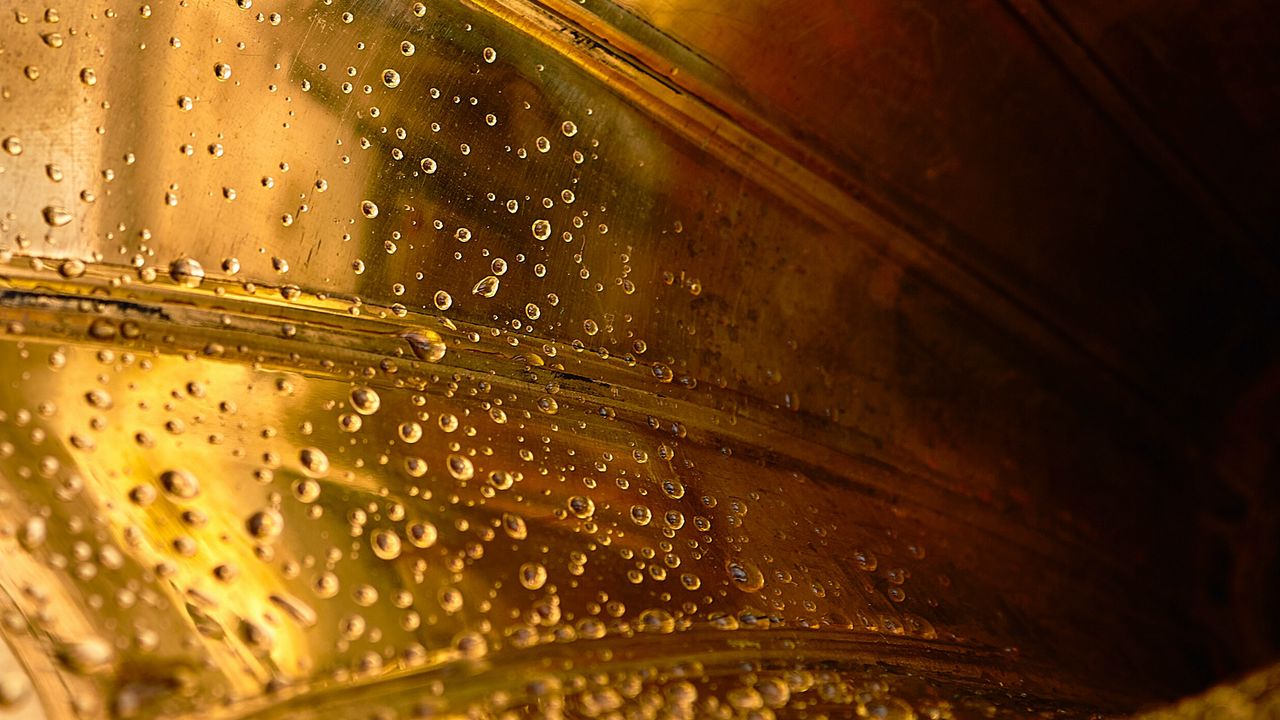 Wallpaper trumpet, golden, drops, wet, macro