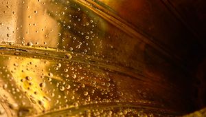 Preview wallpaper trumpet, golden, drops, wet, macro