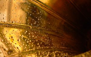 Preview wallpaper trumpet, golden, drops, wet, macro