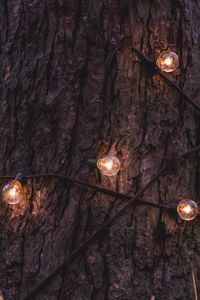 Preview wallpaper trunk, bark, tree, lamp, garland