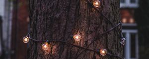 Preview wallpaper trunk, bark, tree, lamp, garland