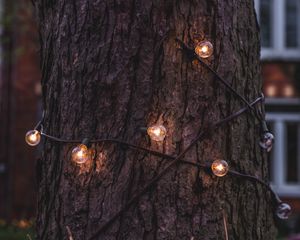 Preview wallpaper trunk, bark, tree, lamp, garland