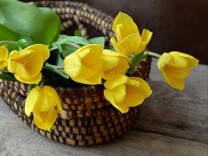 Preview wallpaper tulip, basket, flowers, bouquet