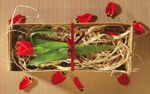 Preview wallpaper tulip, flower, boxes, gift, ribbon, petals, packing