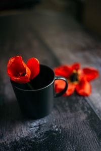 Preview wallpaper tulip, flower, cup, red