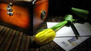 Preview wallpaper tulip, flower, yellow, drop, freshness, box, email
