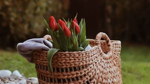 Preview wallpaper tulip, flowers, bouquet, basket, stones