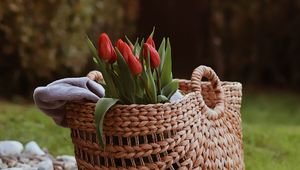 Preview wallpaper tulip, flowers, bouquet, basket, stones