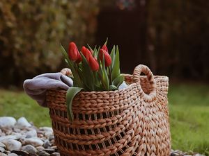 Preview wallpaper tulip, flowers, bouquet, basket, stones