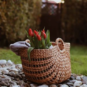 Preview wallpaper tulip, flowers, bouquet, basket, stones