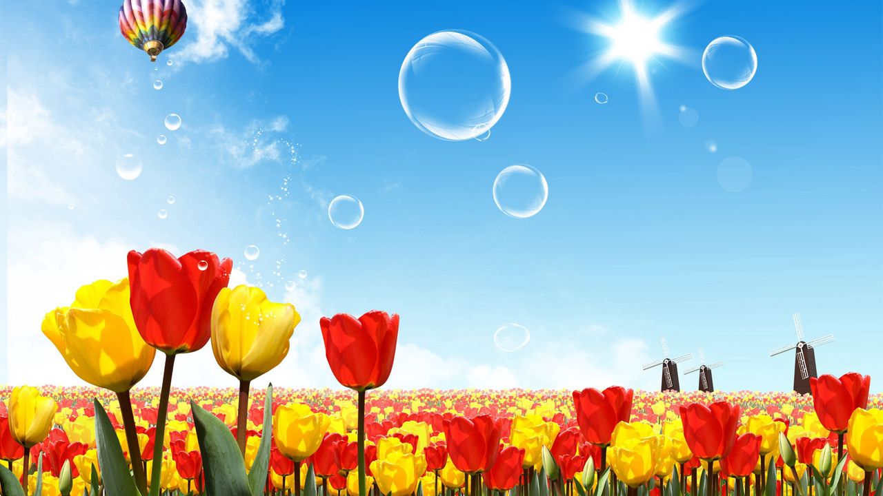 Wallpaper tulips, air balloon, sun, sky