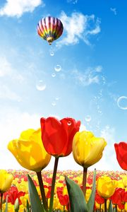 Preview wallpaper tulips, air balloon, sun, sky