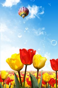 Preview wallpaper tulips, air balloon, sun, sky