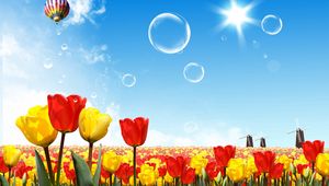 Preview wallpaper tulips, air balloon, sun, sky