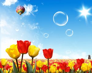 Preview wallpaper tulips, air balloon, sun, sky