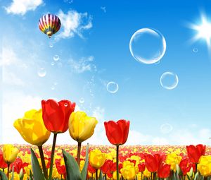 Preview wallpaper tulips, air balloon, sun, sky