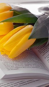 Preview wallpaper tulips, book, flowers, bouquet