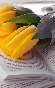 Preview wallpaper tulips, book, flowers, bouquet