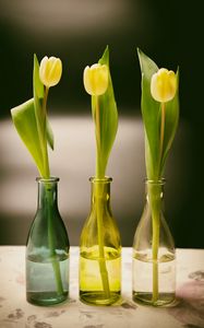 Preview wallpaper tulips, bottles, vase, spring