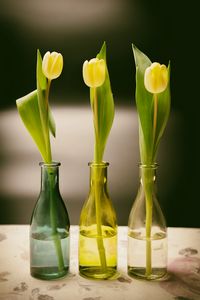 Preview wallpaper tulips, bottles, vase, spring