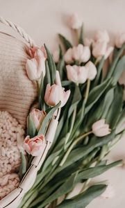 Preview wallpaper tulips, bouquet, basket, pink, flowers, spring