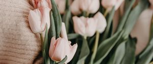 Preview wallpaper tulips, bouquet, basket, pink, flowers, spring