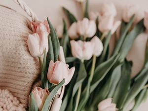 Preview wallpaper tulips, bouquet, basket, pink, flowers, spring