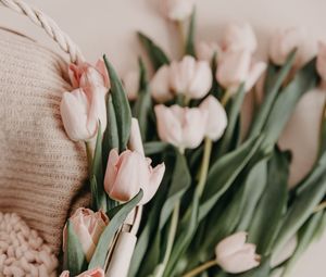 Preview wallpaper tulips, bouquet, basket, pink, flowers, spring